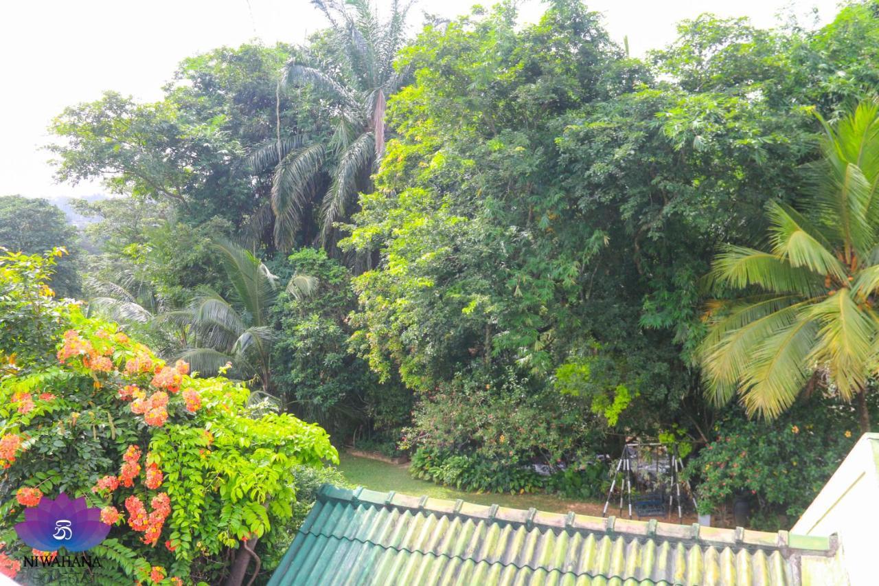 Nivahana Homestay Kandy Exterior foto